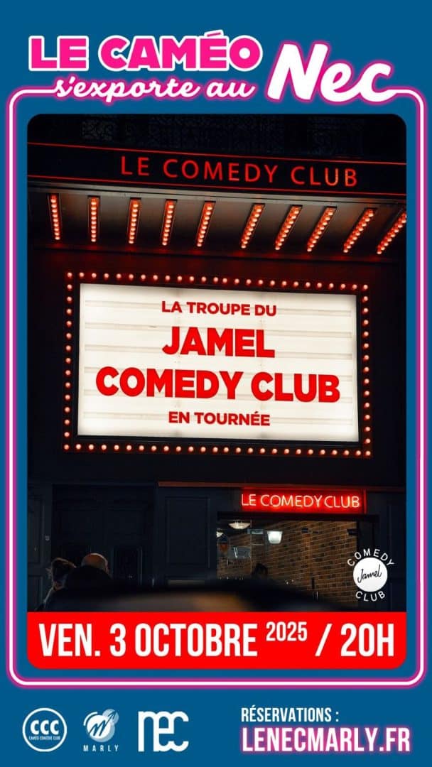 La troupe du Jamel Comedy Club (le caméo s’exporte)