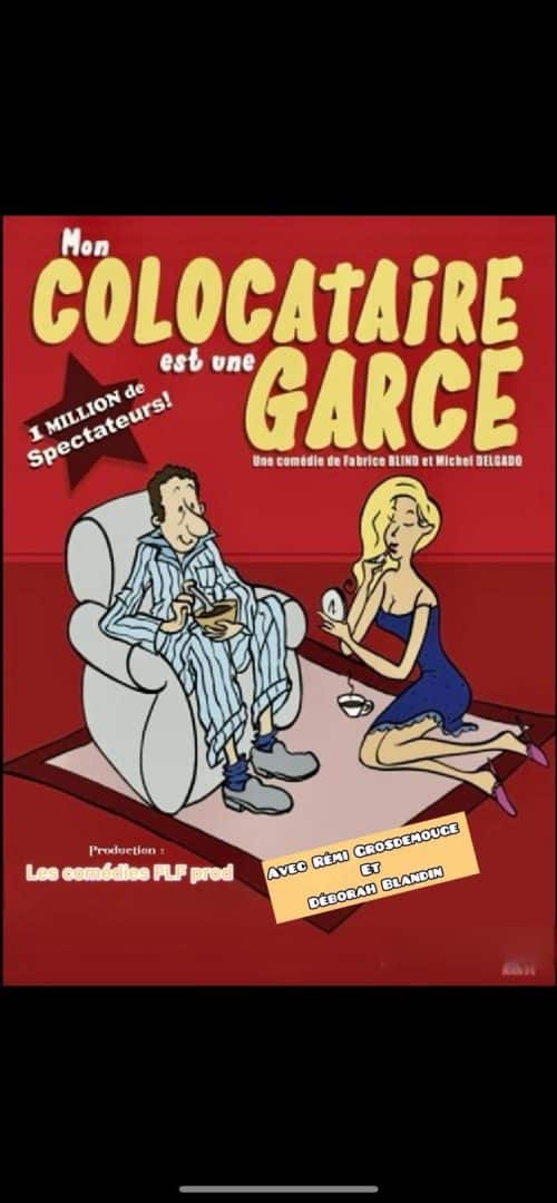 Mon Colocataire est une Garce