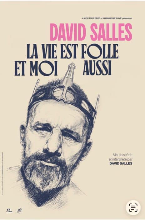 David Salles – La vie est folle et moi aussi